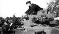Panther Leibstandarte 1943