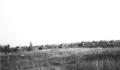 917x600 Pixel 76KB